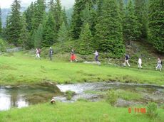 7 Wohlfühltage mit Halbpension und Jesacherhof all inklusive   In unseren geführten Erlebniswanderungen bringen wir Ihnen die Bergwelt näher, nehmen Sie AKTIV teil am Urlaub im Jesacherhof!--> Aktives Erwachen von Montag bis Freitag--> 5 geführte Erlebniswanderungen und Bergtouren mit unserem Wanderführer Franz