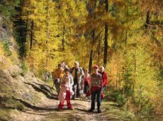 Erleben Sie 4 goldene Herbst-Tage im sonnigen Defereggental....geführte Erlebniswanderungen mit FranzAlm-WanderpaketAlpienne-Wirbelsäulenmassage