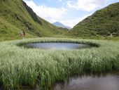 Sommerstart-Woche Pfingsten - Naturerwachen im Defereggental 