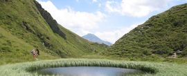 Sommerstart-Woche Pfingsten - Naturerwachen im Defereggental 