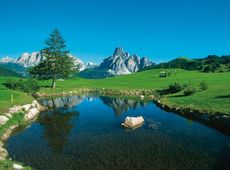 Erika Wellness & Golf