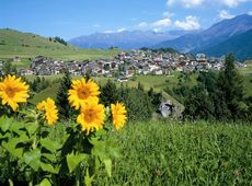 Serfauser Bergsommer