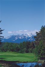 Erica Golf Taster Week