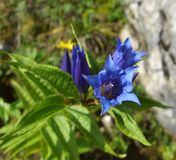 Ostern...Frühlingserwachen im Allgäu
