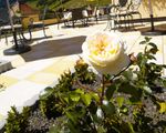 "Summer & Autumn Magic" -  Wellness, Activities & Vitality incl. Comfort Board from € 605.- per person 