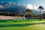 Golf Welcome Hit
