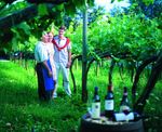 Tour dei vini  - Il Tour dei vini propone un bellissimo viaggio alla scoperta dei vini locali: Programma: Partenza dalla Weinstrasse, la "strada dei vini". A St. Pauls visita della cantina dei vini e degustazione.Visita alla cantina dei vini di Terlan e degustazione Visita alla cantina di spumanti a Arunda MeltinaRitorno in hotel (ca. 4 ore)