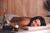 Spa & Relax sui tetti di Merano