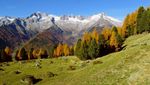 Feeling autunnale