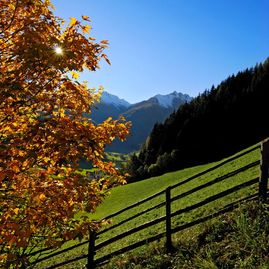 Assaporate e scoprite la magia dell'autunno qui da noi, in Valle Aurina. Le foglie tinte d'oro danzano nel vento, il sole autunnale vi accarezza con la forza dei suoi ultimi raggi, godetevi la vista mozzafiato sull’ambiente montano della Valle Aurina e lasciate che lo staff delle nostre cucine soddisfi il vostro palato.