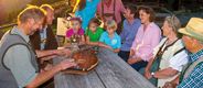 Goldener Bauernherbst |