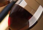 Wein- und Gourmetwoche