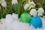 Easter Bunny Ski Week
