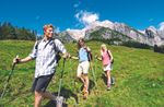 THE BIG HIKING