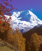 Goldener Herbst im Ahrntal