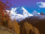 Golden Autumn in the Ahrntal Valley