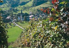Saftige Wiesen und Schwarzwaldhöhen, üppige Obst- und Weingärten und dunkle Tannenwälder. Mit seinem milden und sonnigen Klima bietet das Glottertal zu jeder Jahreszeit ein ganz besonderes Flair.
