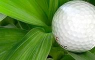 Taster Course - Ideal if you've always wanted to know if golf is for you!