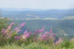 Pacchetto 6 giorni nordic walking