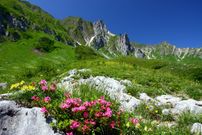 ...nicht nur in der NATUR - mit der Natur leben wir.Kommen Sie mit in die Welt von Ringelblume, Kamille und Co.