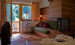 Hotel Tuxertal - Wellnessbaumsuite NUSSBAUM
