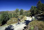 Biken im Zillertal | 5