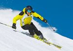 single skiër winter arrangement| 5