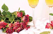 Kristall Anniversary Celebrations