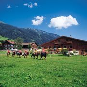 Alpine Riding Holiday |