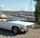 Classic Cars am Bodensee