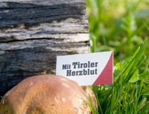 Greil's Kulinarisch Musikalischer Herbst am Wilden Kaiser