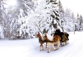 RESTPLATZBÖRSE - 5 ÜN | (26.02. - 03.03.2012 und 10.03. - 18.03.2012)