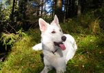 Sommerurlaub in der "Ferienwohnung", vielleicht mit Hund!