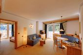 Traumsuite