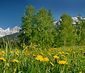 Frühlingsfest am Dachstein - Glück einatmen