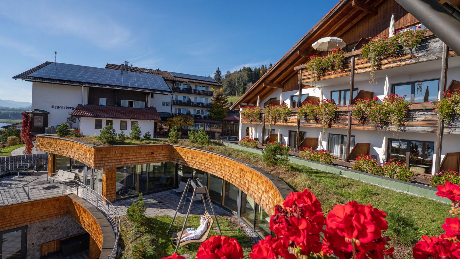 SUPERIOR Juniorsuite "Wiesenzauber" **** image 7 - Biohotel Eggensberger