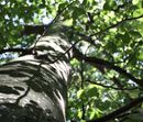 PROGRAMME DETOX ‘INTRO’ 3 NUITS