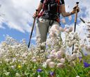 Sommerträume inkl. Halbpension| 2 Nächte 