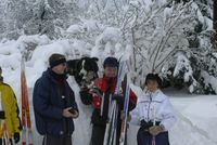 Karnevalstage im Terranova