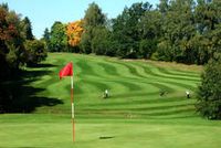Schnupper-Golf mit diplomierten Golf-Lehrern 