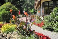 Idyllisches Urlaubstage im Schwarzwald