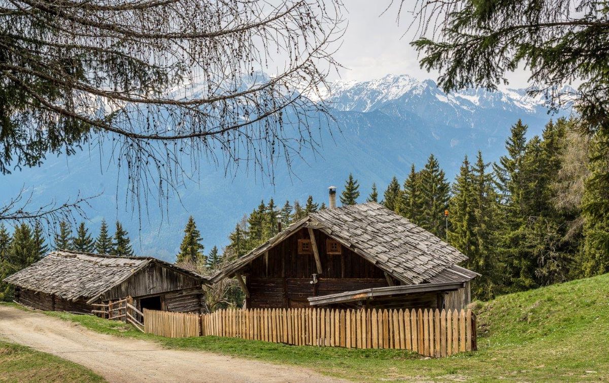 Ferienhaus Reh's Wiesen Hütte (100788), Lüsen (Luson), Dolomiten, Trentino-Südtirol, Italien, Bild 17