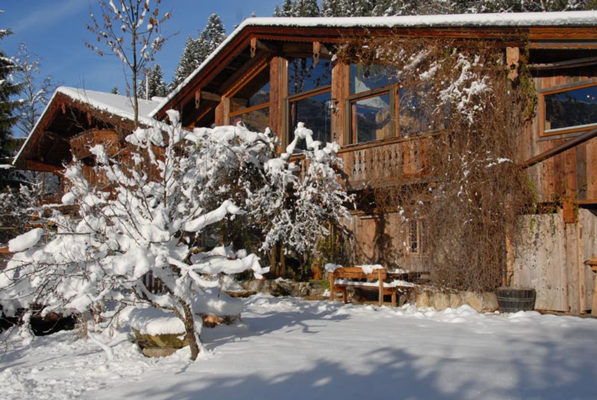 Ferienhaus Luxus-Chalet Mühlermoos (227677), Ramsau im Zillertal, Mayrhofen, Tirol, Österreich, Bild 18