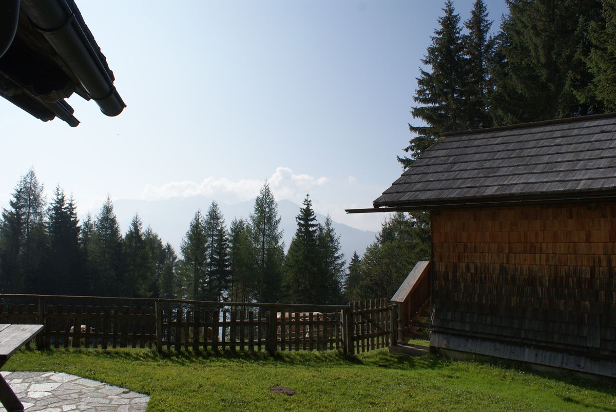 Ferienhaus Enzianhütte (100559), Irschen, Oberdrautal, Kärnten, Österreich, Bild 12