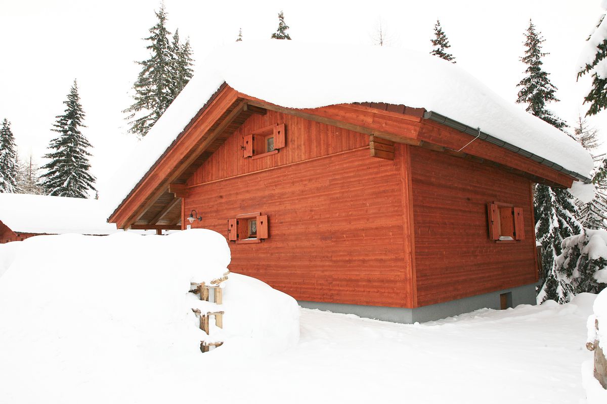 Ferienhaus Alpine-Lodges Theresia (250758), Arriach, Villach-Land, Kärnten, Österreich, Bild 16