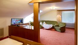 Appartement / Dachschräge