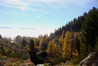 Goldener Herbst