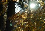 Wandern im goldenen Herbst
