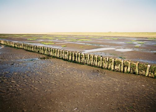 Biohotel Haus am Watt: Urlaub am Wattenmeer - Haus am Watt, Heringsand, Nordsee, Schleswig-Holstein, Deutschland