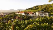 Steigenberger Hotel and Spa Krems